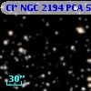 Cl* NGC 2194    PCA     540