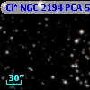 Cl* NGC 2194    PCA     542