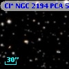 Cl* NGC 2194    PCA     547