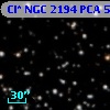 Cl* NGC 2194    PCA     552