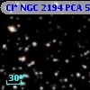 Cl* NGC 2194    PCA     553