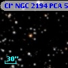 Cl* NGC 2194    PCA     554