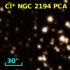 Cl* NGC 2194    PCA     556