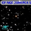 Cl* NGC 2194    PCA     557