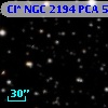 Cl* NGC 2194    PCA     558