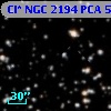 Cl* NGC 2194    PCA     564