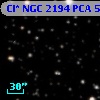 Cl* NGC 2194    PCA     566