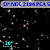 Cl* NGC 2194    PCA     567