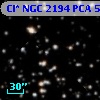 Cl* NGC 2194    PCA     568