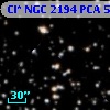 Cl* NGC 2194    PCA     587