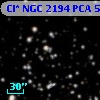 Cl* NGC 2194    PCA     588