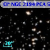 Cl* NGC 2194    PCA     594