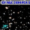 Cl* NGC 2194    PCA     597
