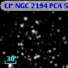 Cl* NGC 2194    PCA     599