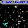 Cl* NGC 2194    PCA     601