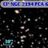 Cl* NGC 2194    PCA     607