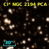 Cl* NGC 2194    PCA     617