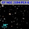 Cl* NGC 2194    PCA     624