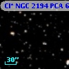 Cl* NGC 2194    PCA     635