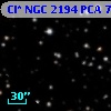 Cl* NGC 2194    PCA     705