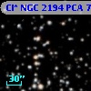 Cl* NGC 2194    PCA     707