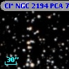 Cl* NGC 2194    PCA     716