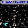 Cl* NGC 2194    PCA     736