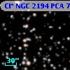 Cl* NGC 2194    PCA     739