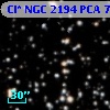Cl* NGC 2194    PCA     741