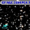 Cl* NGC 2194    PCA     747