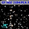 Cl* NGC 2194    PCA     749