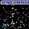 Cl* NGC 2194    PCA     802
