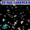 Cl* NGC 2194    PCA     804