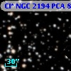 Cl* NGC 2194    PCA     869