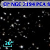 Cl* NGC 2194    PCA     876