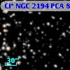 Cl* NGC 2194    PCA     888