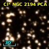 Cl* NGC 2194    PCA     892