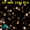 Cl* NGC 2194    PCA     893