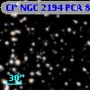Cl* NGC 2194    PCA     894