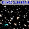 Cl* NGC 2194    PCA     896