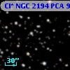 Cl* NGC 2194    PCA     902