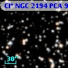 Cl* NGC 2194    PCA     904