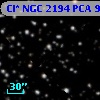 Cl* NGC 2194    PCA     905