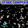 Cl* NGC 2194    PCA     914