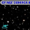 Cl* NGC 2194    PCA     917