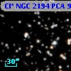 Cl* NGC 2194    PCA     919
