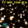 Cl* NGC 2194    PCA     920