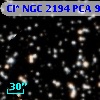 Cl* NGC 2194    PCA     921