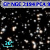Cl* NGC 2194    PCA     922