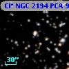 Cl* NGC 2194    PCA     924